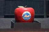 Home Run Apple, May 25, 2024 (2)